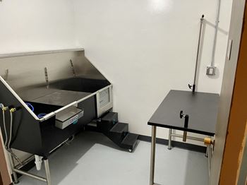 Lexington hills pet spa
